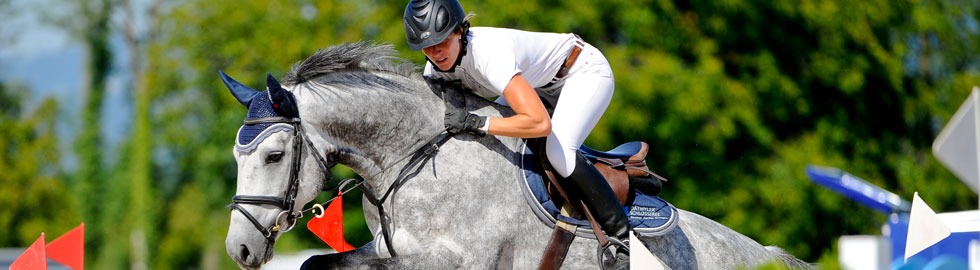 Schimmel im Sprung mit Reiterin an einem Springturnier