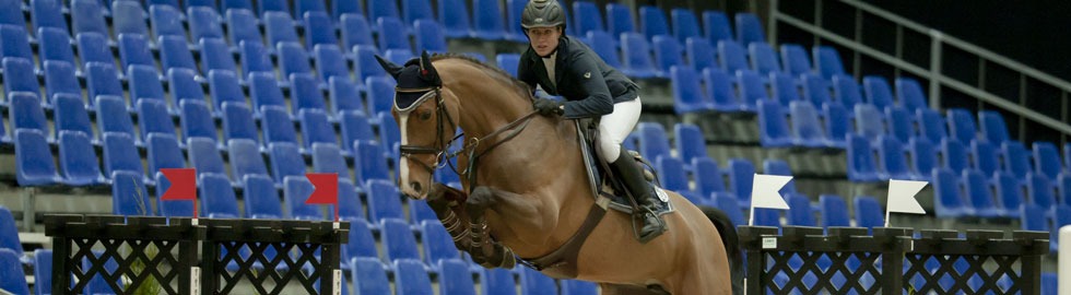 Reiterin mit braunem Pferd im Sprung in einer Halle