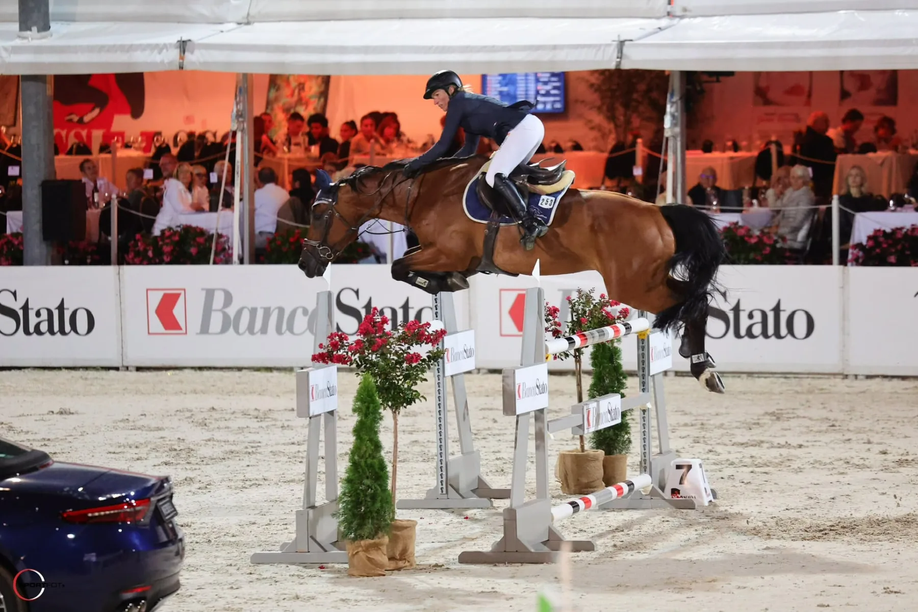Parcours am Abendturnier – Team Steffen Braunes Pferd mit Reiterin im Parcours vor Zuschauern am Abendturnier