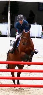 Springreiterin mit einem braunen Pferd über einem Hindernis